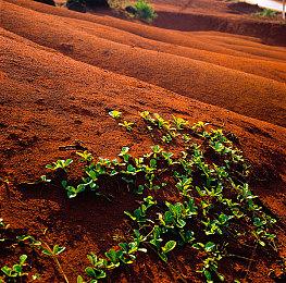 《寂静岭f》试玩获媒体好评 全新12分钟实机展示